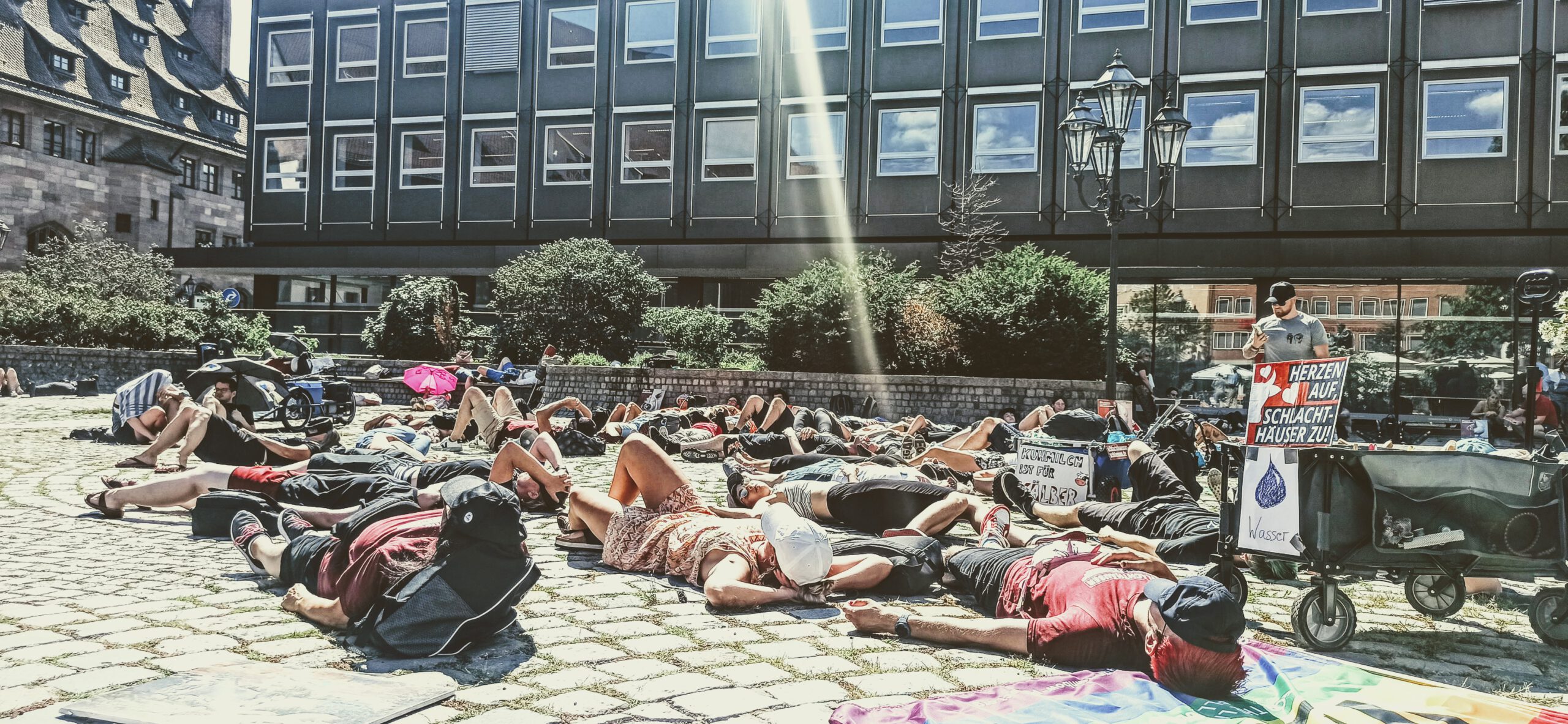 Ariwa Demo in Nürnberg
