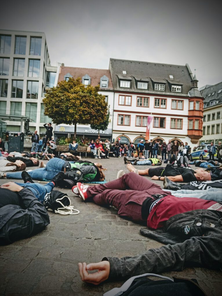 DIE-IN ARIWA Demo Würzburg