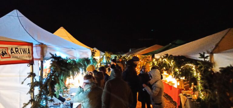 Wintermarkt Vegan Bullerbyn