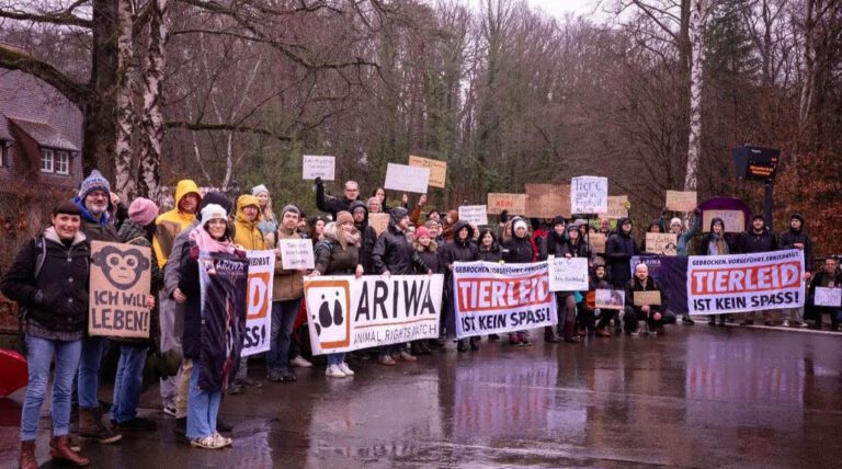 Tiergarten Nürnberg will Paviane töten