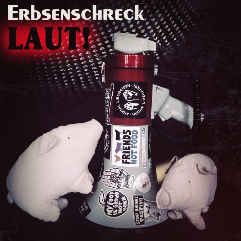 Erbsenschreck CD Cover LAUT!