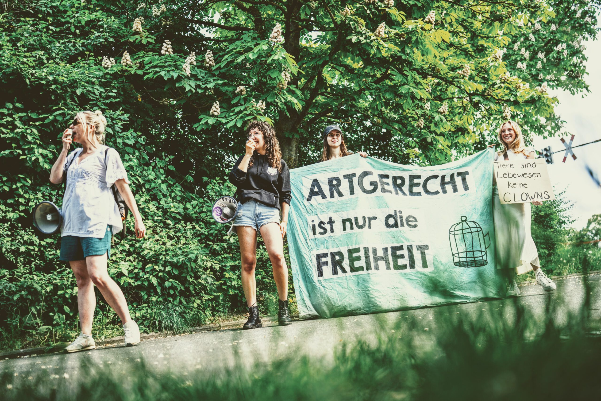 Demo Circus Gebrüder BARELLI