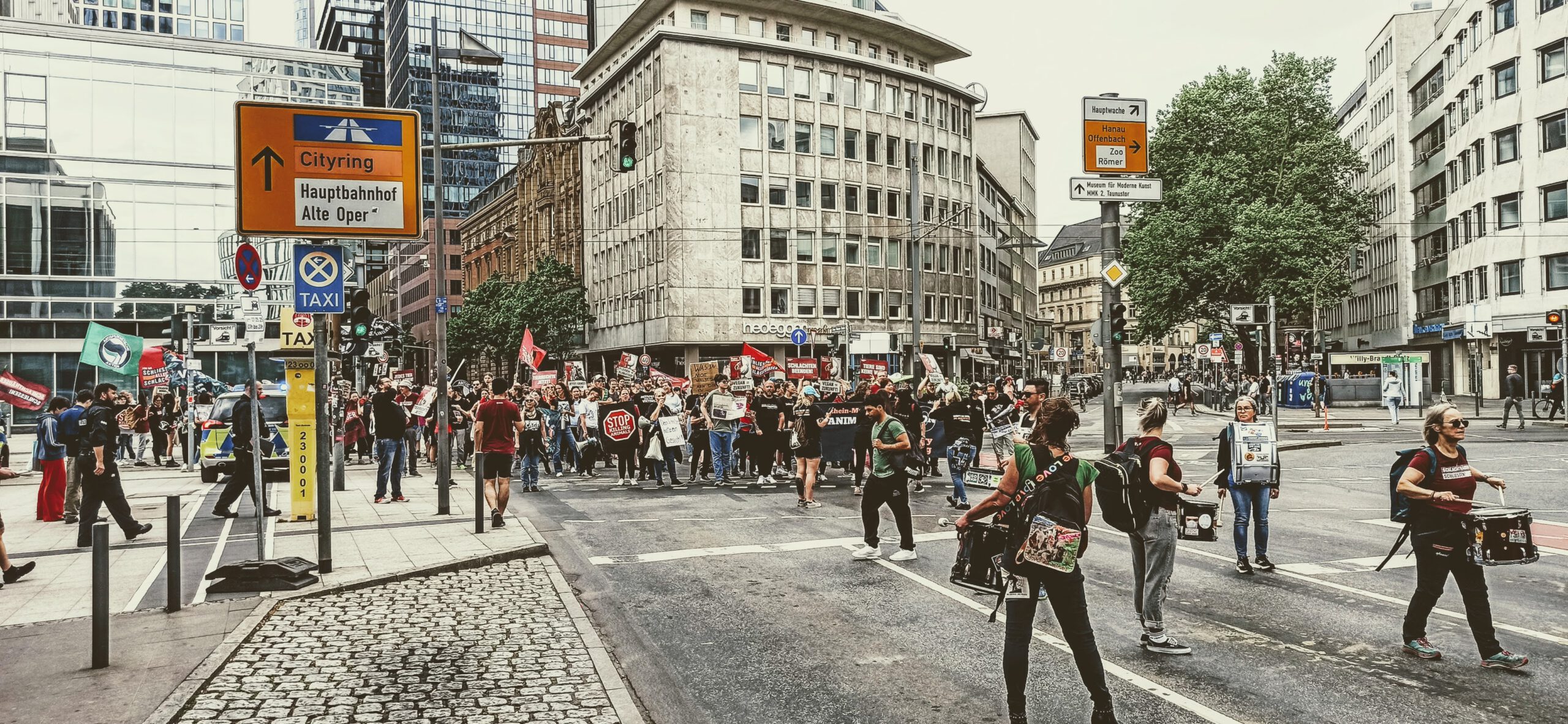 Schlachthäuser schließen Demo Frankfurt 2025