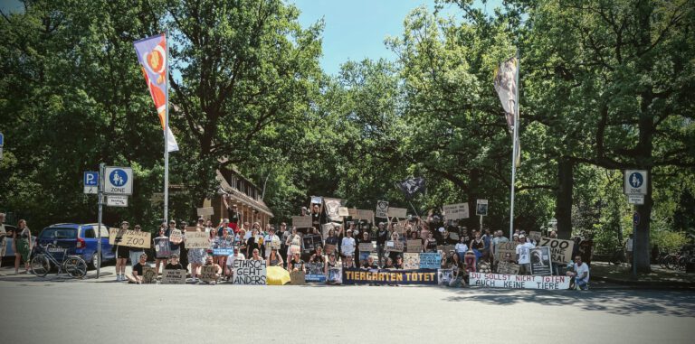Tiergarten 2025 Vierte Runde