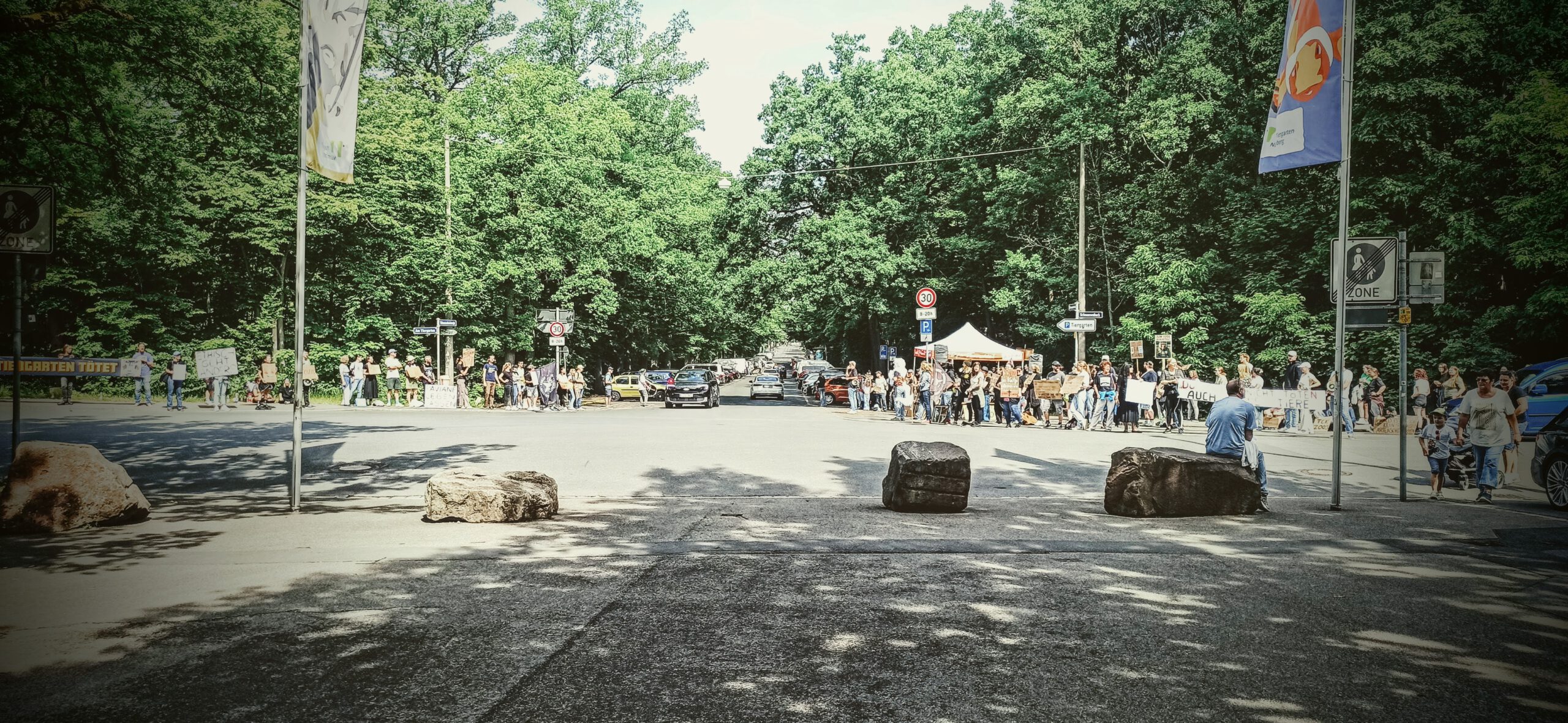 Tiergarten 2025 Zweite Runde