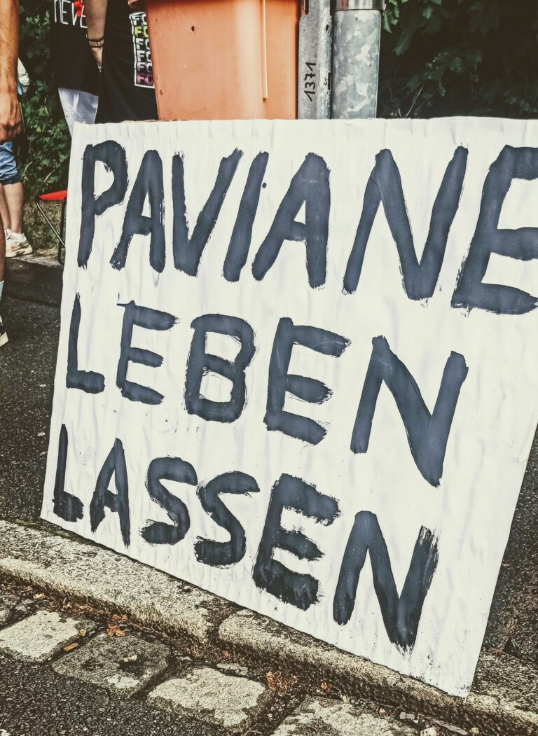 Tiergarten 2025 Dritte Runde