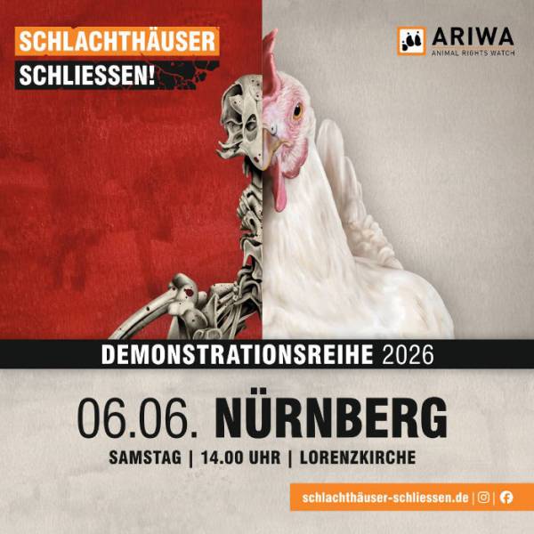 Schlachthäuser schließen Nürnberg 2026