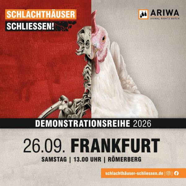 Schlachthäuser schließen Frankfurt 2026