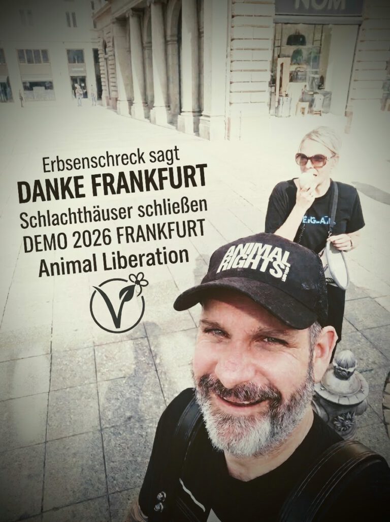 SaS Frankfurt 2026