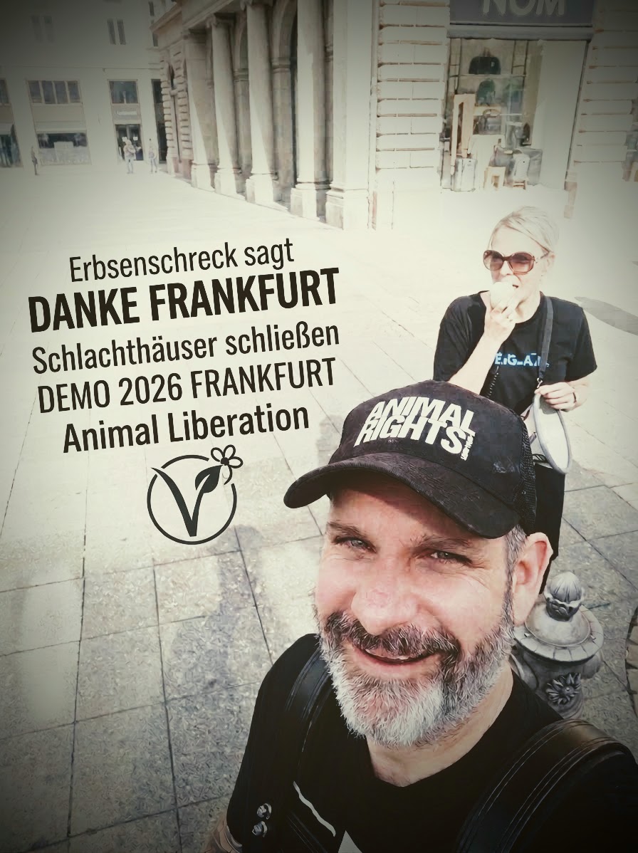SaS Frankfurt 2026